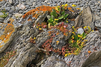 City_skyline_clouds_1_web-X