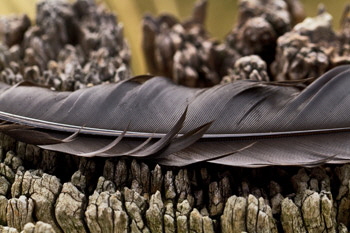 Light_texture_1_web-X